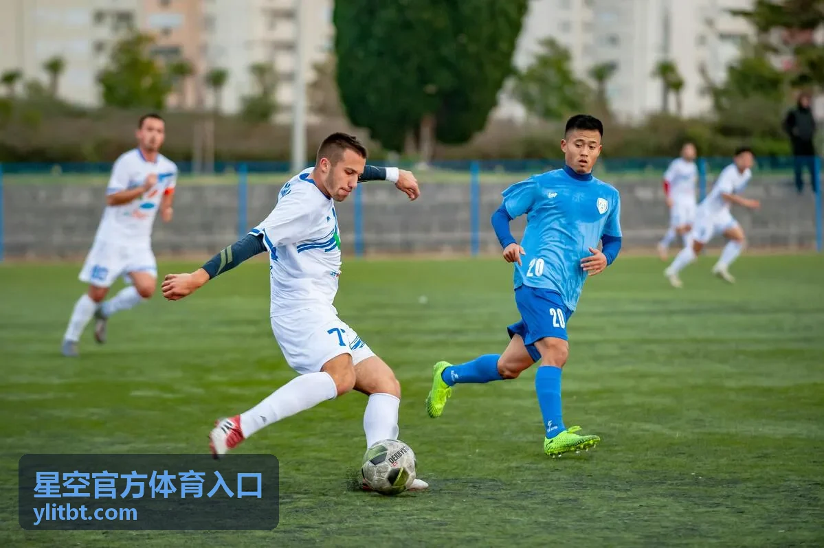 星空官方体育入口播放与入口排查说明封面