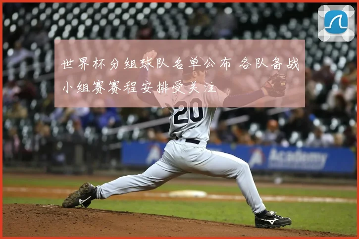 世界杯分组球队名单公布 各队备战小组赛赛程安排受关注