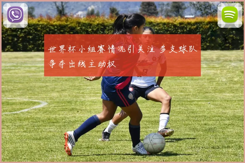 世界杯小组赛情况引关注 多支球队争夺出线主动权