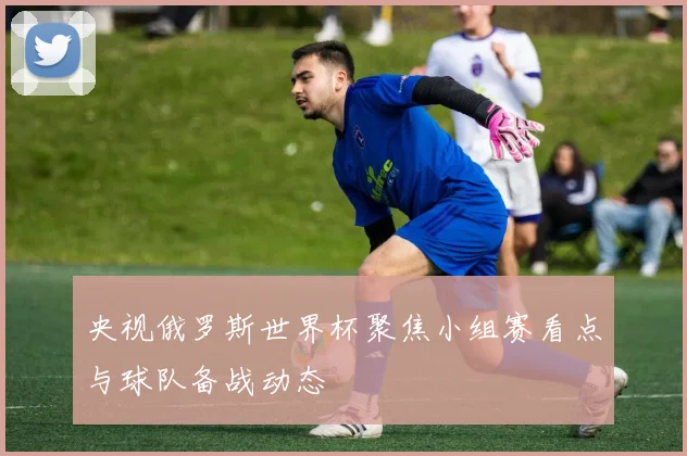 央视俄罗斯世界杯聚焦小组赛看点与球队备战动态