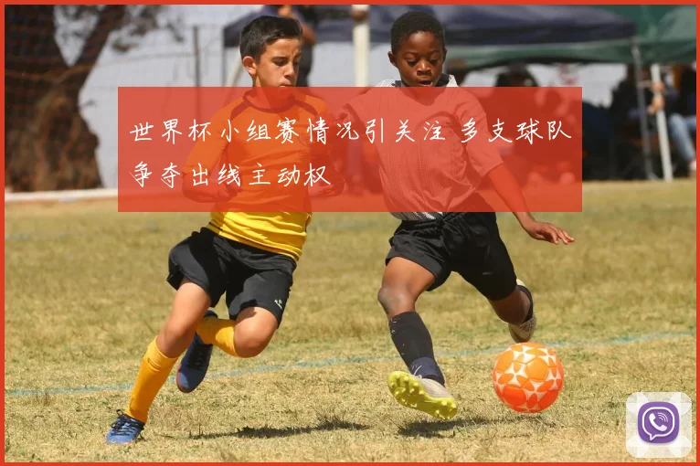 世界杯小组赛情况引关注 多支球队争夺出线主动权