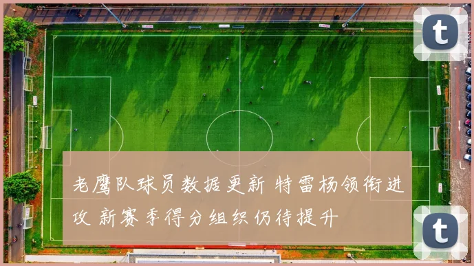 老鹰队球员数据更新 特雷杨领衔进攻 新赛季得分组织仍待提升