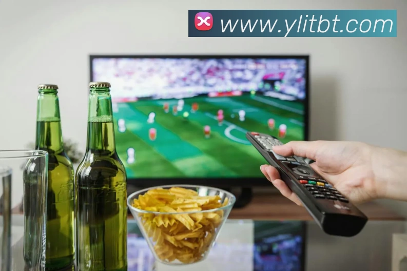 App Interface Preview